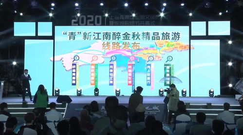 佳節(jié)相連盛會(huì)相接 上海青浦淀山湖文化藝術(shù)節(jié)暨旅游購(gòu)物節(jié)開(kāi)幕，文化藝術(shù)交流策劃服務(wù)閃耀舞臺(tái)